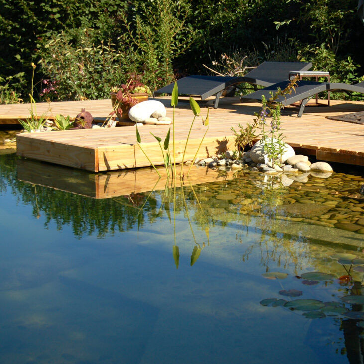 A guide to building a natural swimming pool